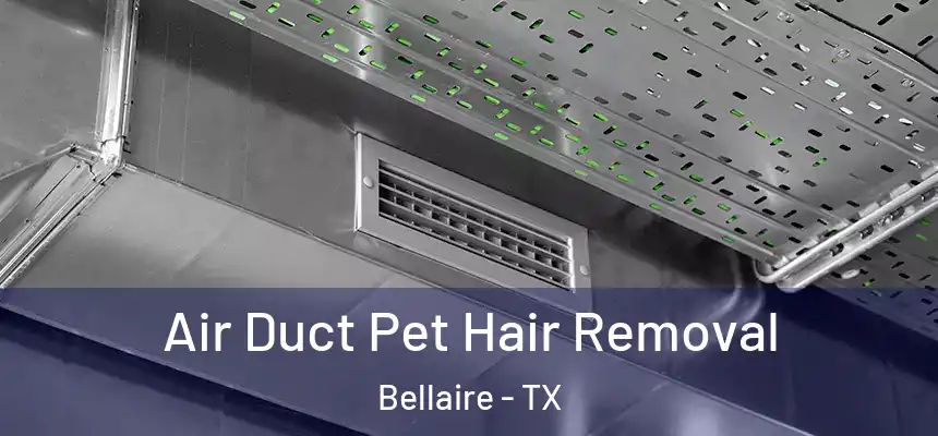  Air Duct Pet Hair Removal Bellaire - TX