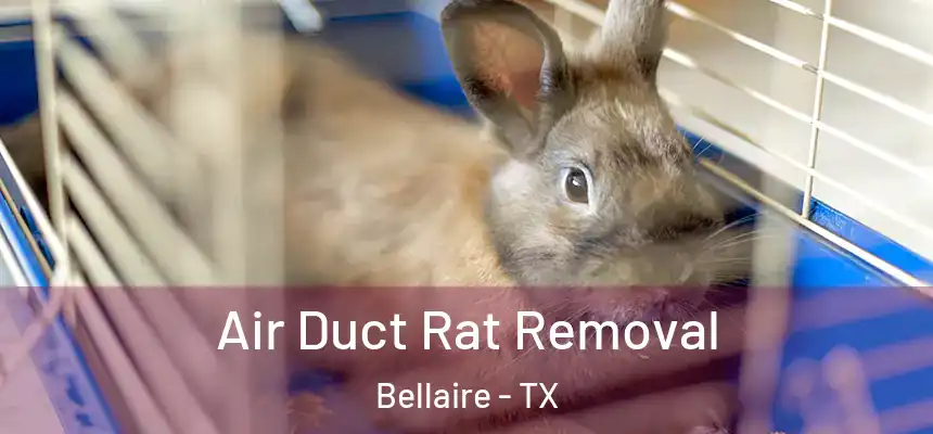  Air Duct Rat Removal Bellaire - TX