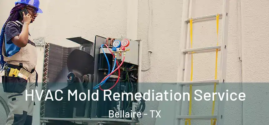  HVAC Mold Remediation Service Bellaire - TX