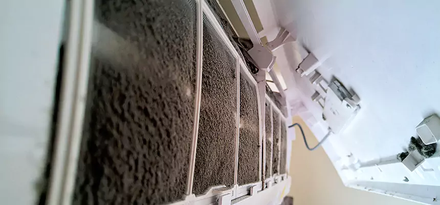 Preventive Air Duct Bacteria Removal in Bellaire