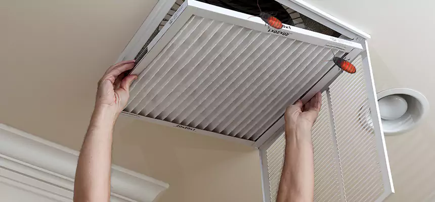 Our Insect Removal from Air Ducts Services in Bellaire, TX