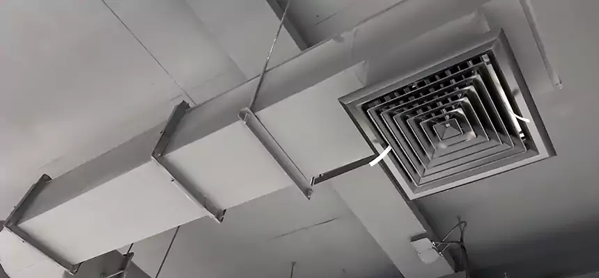 Our Pest Removal From Ducts Services in Bellaire, TX