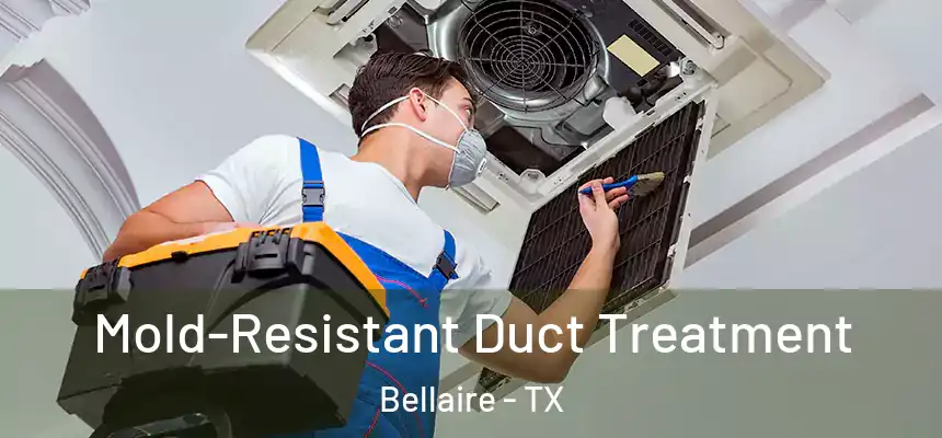  Mold-Resistant Duct Treatment Bellaire - TX