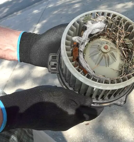 About Air Duct Rat Removal in Bellaire, TX