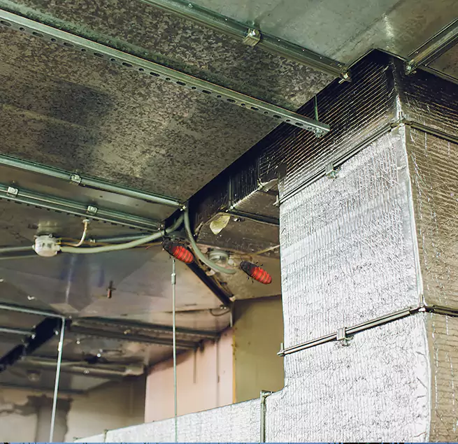 Why Homeowners & Businesses Trust Us Bellaire, TX?