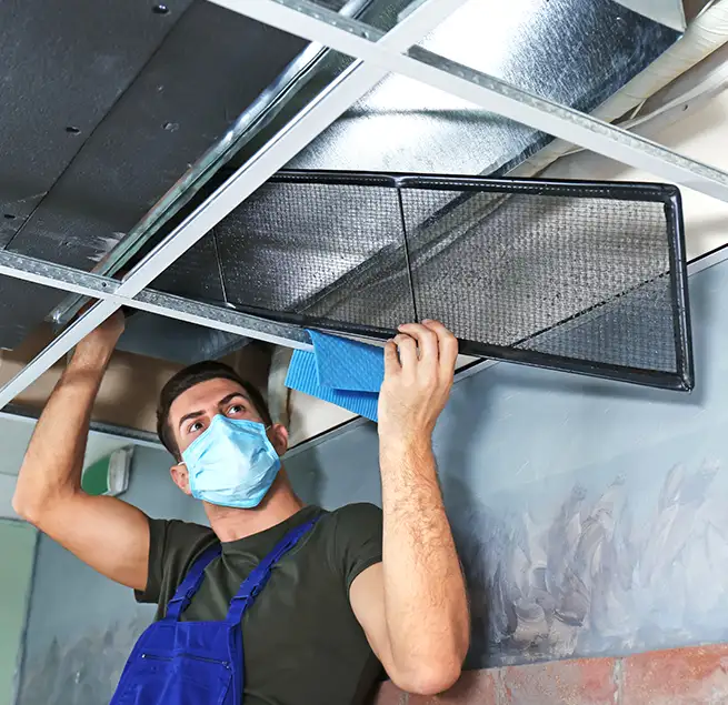 Why Homeowners & Businesses Trust Us in Bellaire, TX?