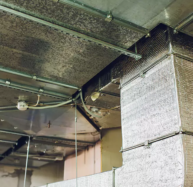 Why Homeowners & Businesses Trust Us in Bellaire, TX?